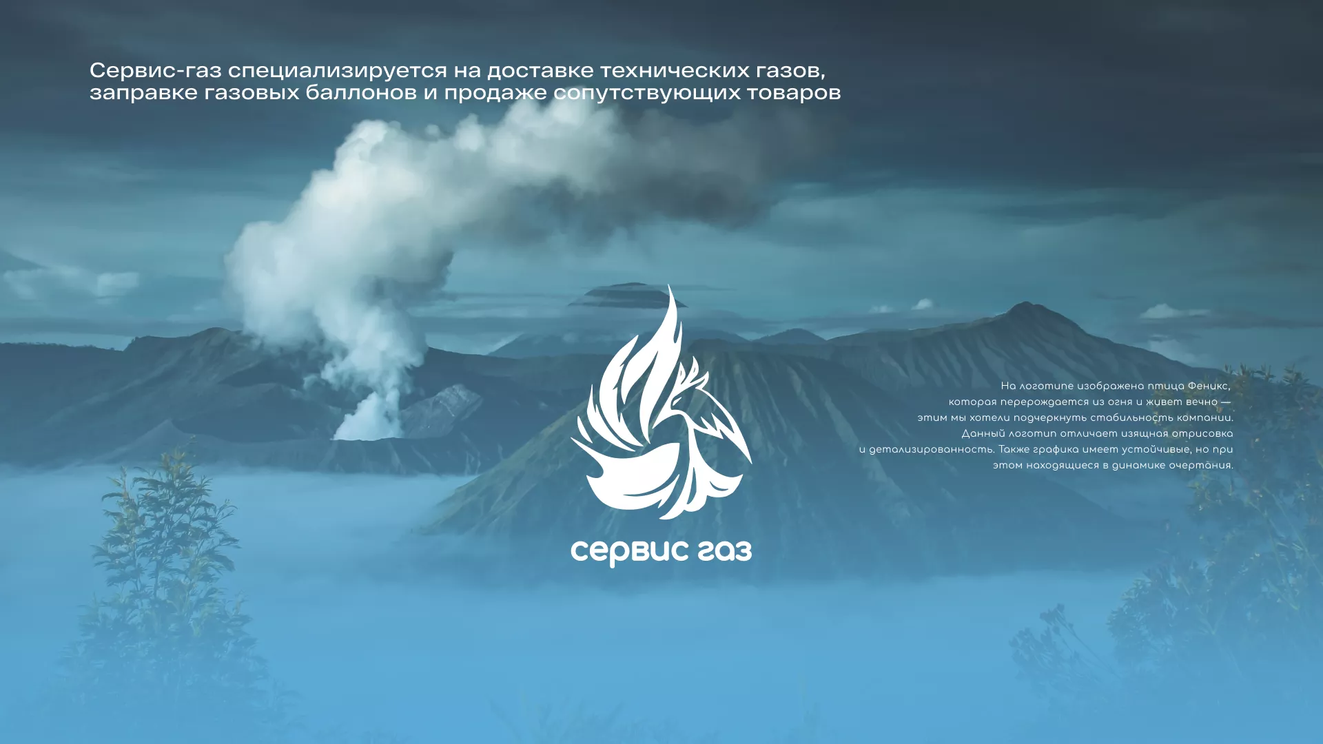Создание сайта компании «Сервис газ» в Новочеркасске