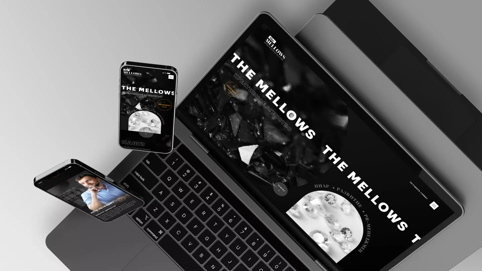 Разработка сайта креативного агентства «The Mellows» в Новочеркасске